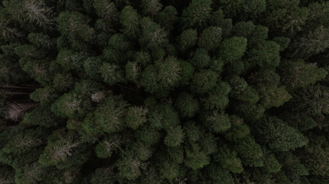 AI-Powered Image Search and Discovery